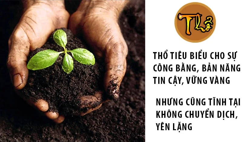 Đặc điểm của hình thổ Ý nghĩa của Thổ trong luận ngũ hành