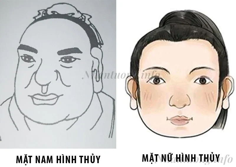 Cách nhận diện tướng mặt ngũ hành Thủy Cách nhận diện tướng mặt ngũ hành Thủy
