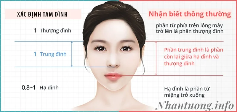 Xác định tam đình trên gương mặt Xác định tam đình trên gương mặt