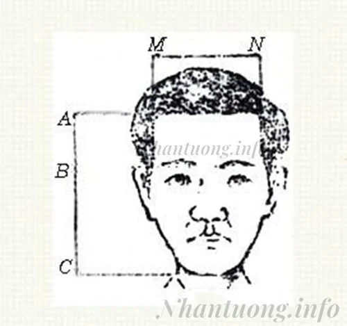 Cách tính trán cao, rộng Cách tính trán cao, rộng