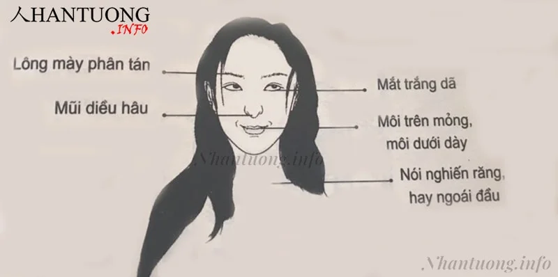 Tổng quan khuôn mặt của những người dễ lật lọng Tổng quan khuôn mặt của những người dễ lật lọng