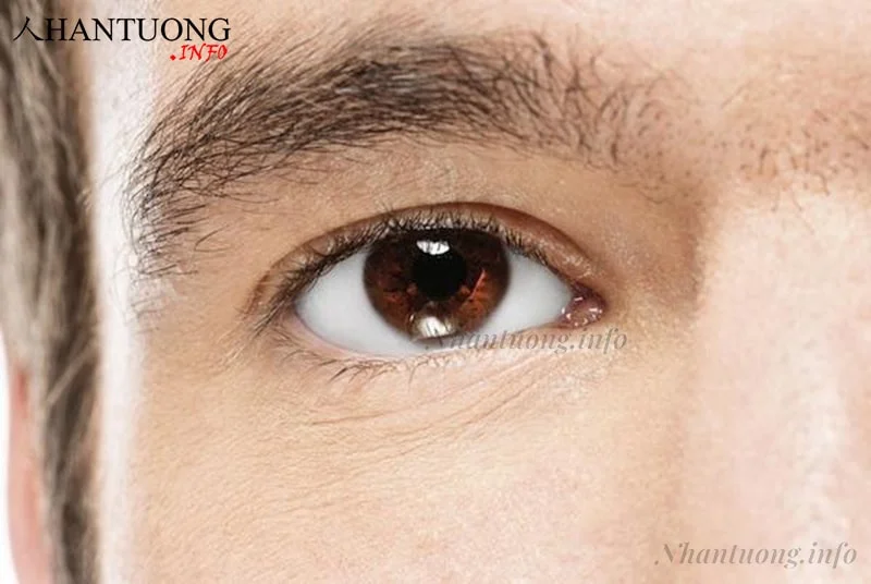 Lông mày thưa, mọc lộn xộn, ngắn Lông mày thưa, mọc lộn xộn, ngắn
