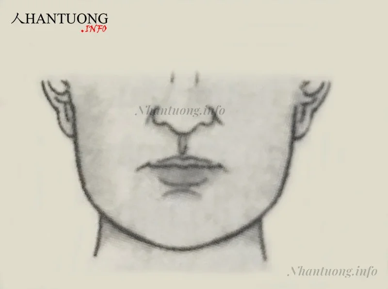 Tướng nhân trung nhỏ hẹp Tướng nhân trung nhỏ hẹp