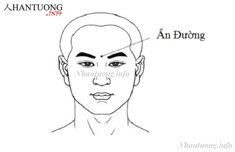 Vị trí ấn đường Vị trí ấn đường