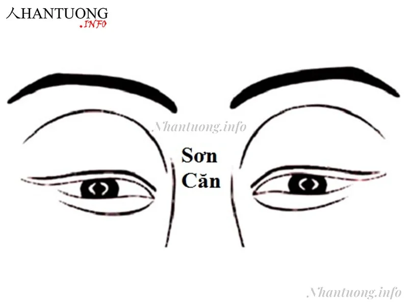 Vị trí sơn căn Vị trí sơn căn