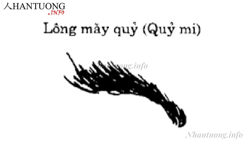 Tướng mày quỷ Tướng mày quỷ