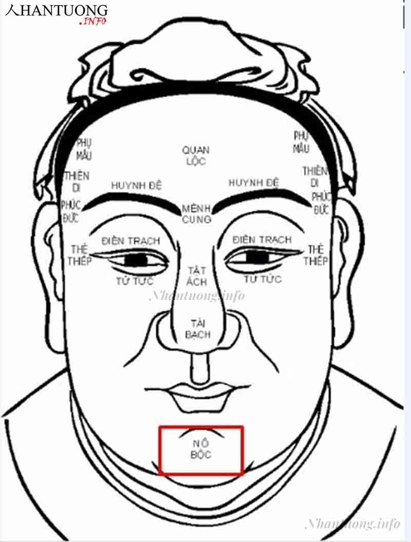 Vị trí cung nô bộc Vị trí cung nô bộc