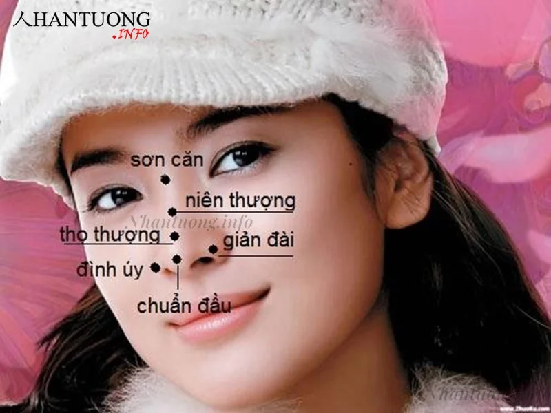 Vị trí các phần của cung tật ách Cung tật ách đầy đặn, sáng sủa