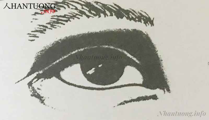 Lông mày tán thưa Lông mày tán thưa