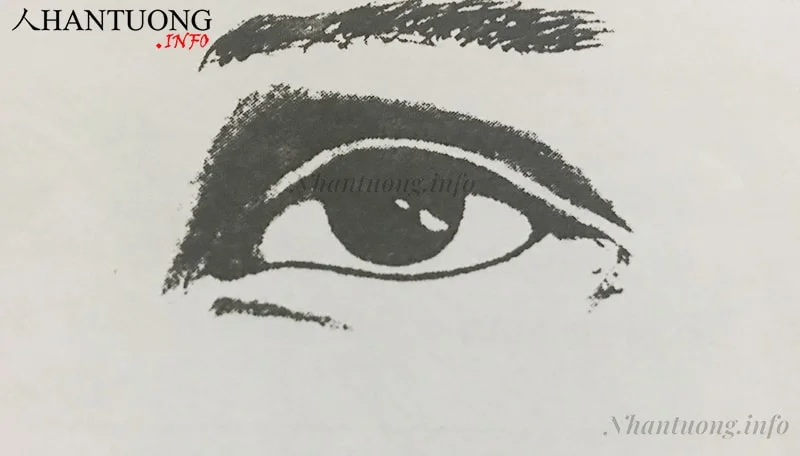 Lông mày lưỡi kiếm Lông mày lưỡi kiếm