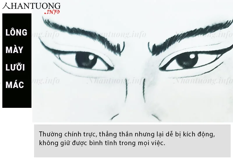 Tướng lông mày lưỡi mác Tướng lông mày lưỡi mác