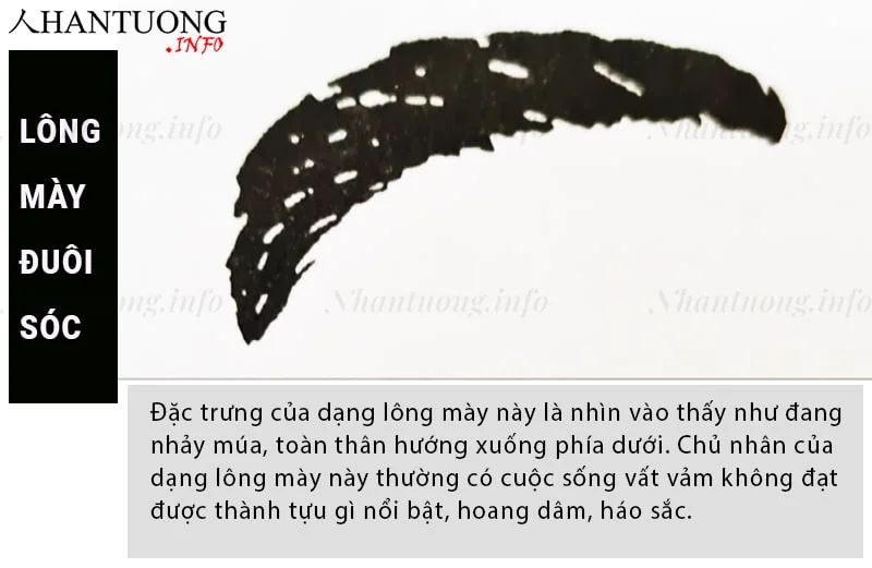 Lông mày đuôi sóc dễ ngoại tình Tướng lông mày đuôi sóc