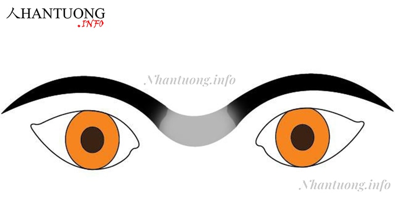 Hai lông mày nối liền Hai lông mày nối liền