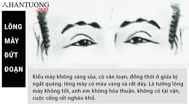 Tướng lông mày đứt nét không liền mạch Tướng lông mày đứt nét không liền mạch