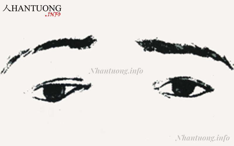 Tướng lông mày hình chữ bát Tướng lông mày hình chữ bát