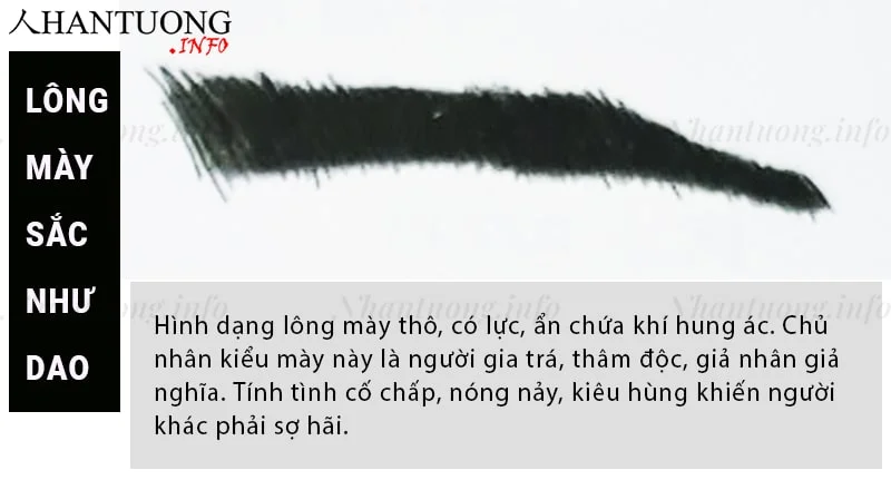 Tướng lông mày nhìn như lưỡi dao sắc Tướng lông mày nhìn như lưỡi dao sắc