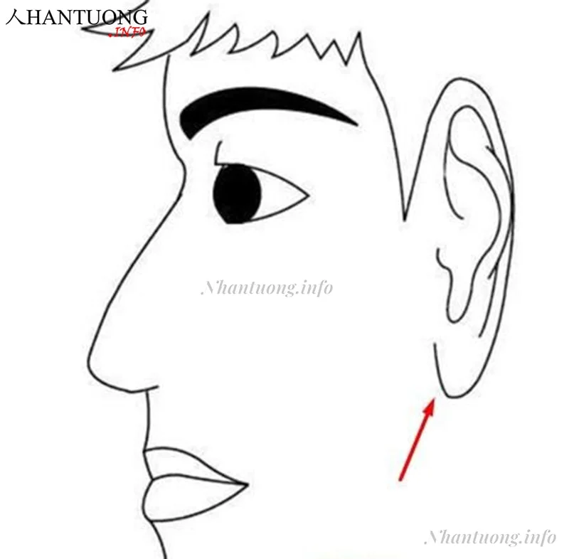 Dái tai nhọn và nhỏ Dái tai nhọn và nhỏ