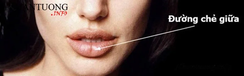 Nhận biết người có tướng môi chẻ Nhận biết người có tướng môi chẻ