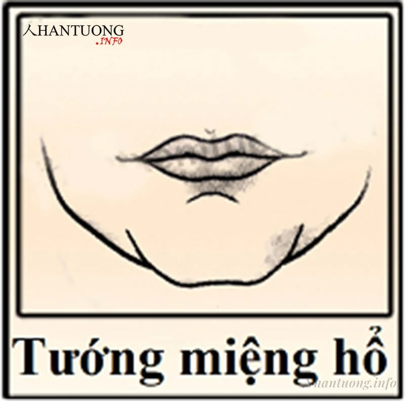 Miệng cọp (miệng hổ) Miệng cọp (miệng hổ)