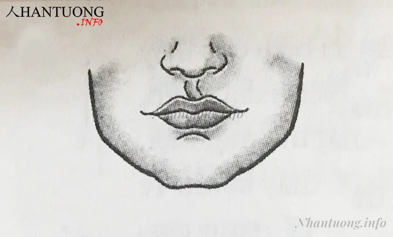 Tướng nhân trung lệch Tướng nhân trung lệch