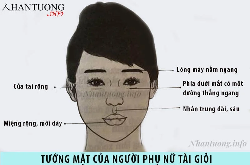 Tướng mặt của người phụ nữ giỏi giang, tài cán, tháo vát 1 Đặc điểm tướng mặt của người phụ nữ tài giỏi
