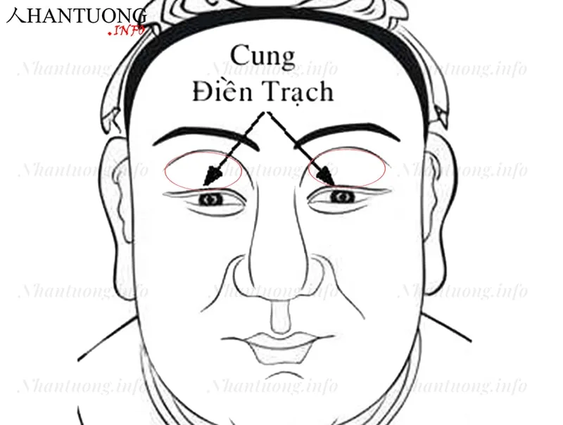 Vị trí cung điền trạch Vị trí cung điền trạch
