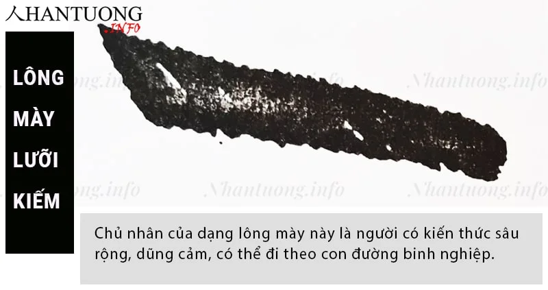 Đặc điểm và hình dáng của tướng lông mày lưỡi kiếm Đặc điểm và hình dáng của tướng lông mày lưỡi kiếm