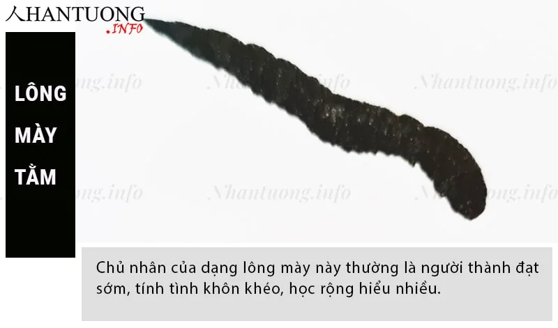 Tướng lông mày tằm Tướng lông mày tằm