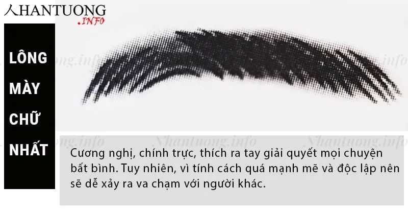 Tướng lông mày hình chữ nhất Tướng lông mày hình chữ nhất