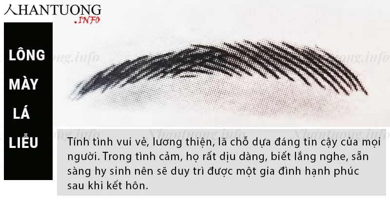 Đặc điểm tính cách và hình dáng tướng lông mày lá liễu Đặc điểm tính cách và hình dáng tướng lông mày lá liễu