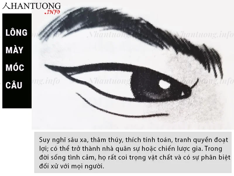 Tướng lông mày hình móc câu Tướng lông mày hình móc câu
