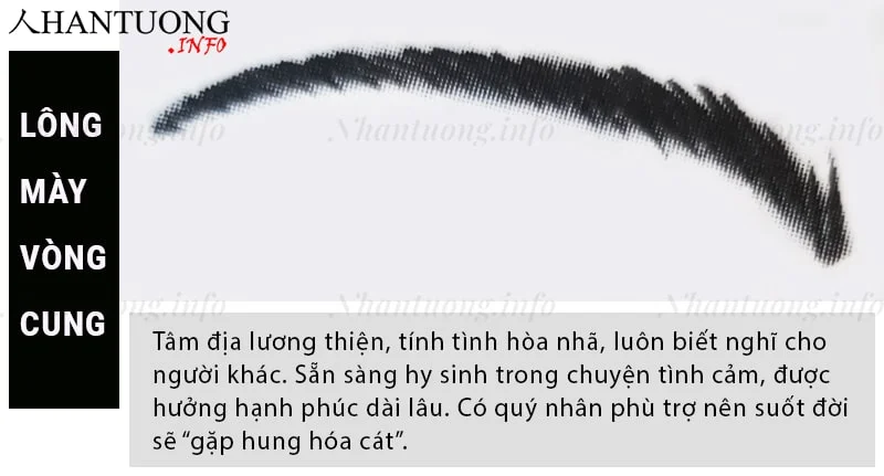 Tướng lông mày hình vòng cung Tướng lông mày hình vòng cung