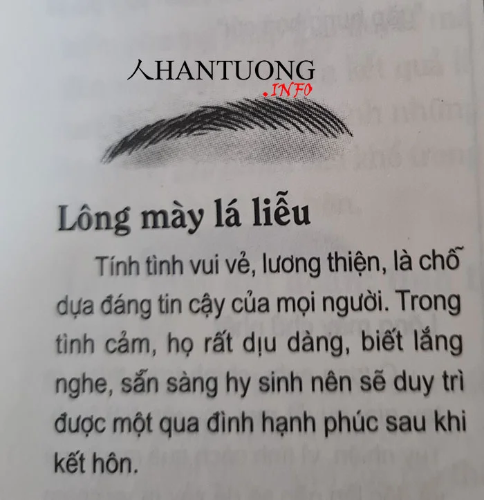 Tướng mặt cô gái dễ được mọi người có thiện cảm được yêu mến 1 Tướng lông mày lá liễu