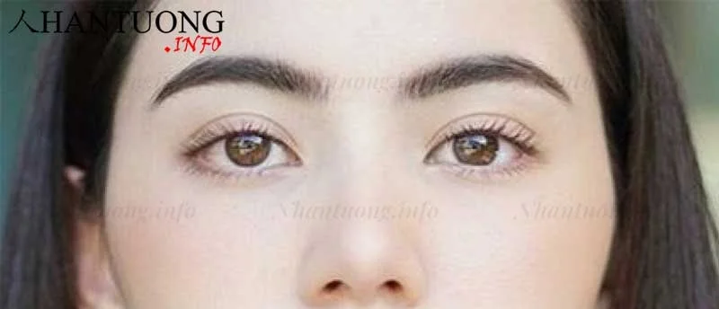 Tướng mày hình cánh cung ở nữ Tướng mày hình cánh cung ở phụ nữ
