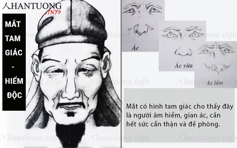 Mắt có hình tam giác: chỉ số thông minh rất cao nhưng thường đáng sợ Mắt có hình tam giác: chỉ số thông minh rất cao nhưng thường đáng sợ