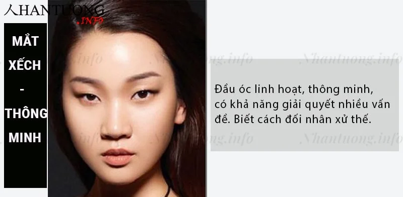 Mắt xếch: chỉ số thông minh và chỉ số cảm xúc đều cao Mắt xếch: chỉ số thông minh và chỉ số cảm xúc đều cao