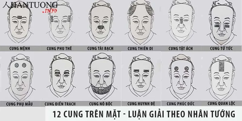 12 cung trên khuôn mặt - Luận giải các cung theo nhân tướng học 12 cung trên khuôn mặt - Luận giải các cung theo nhân tướng học