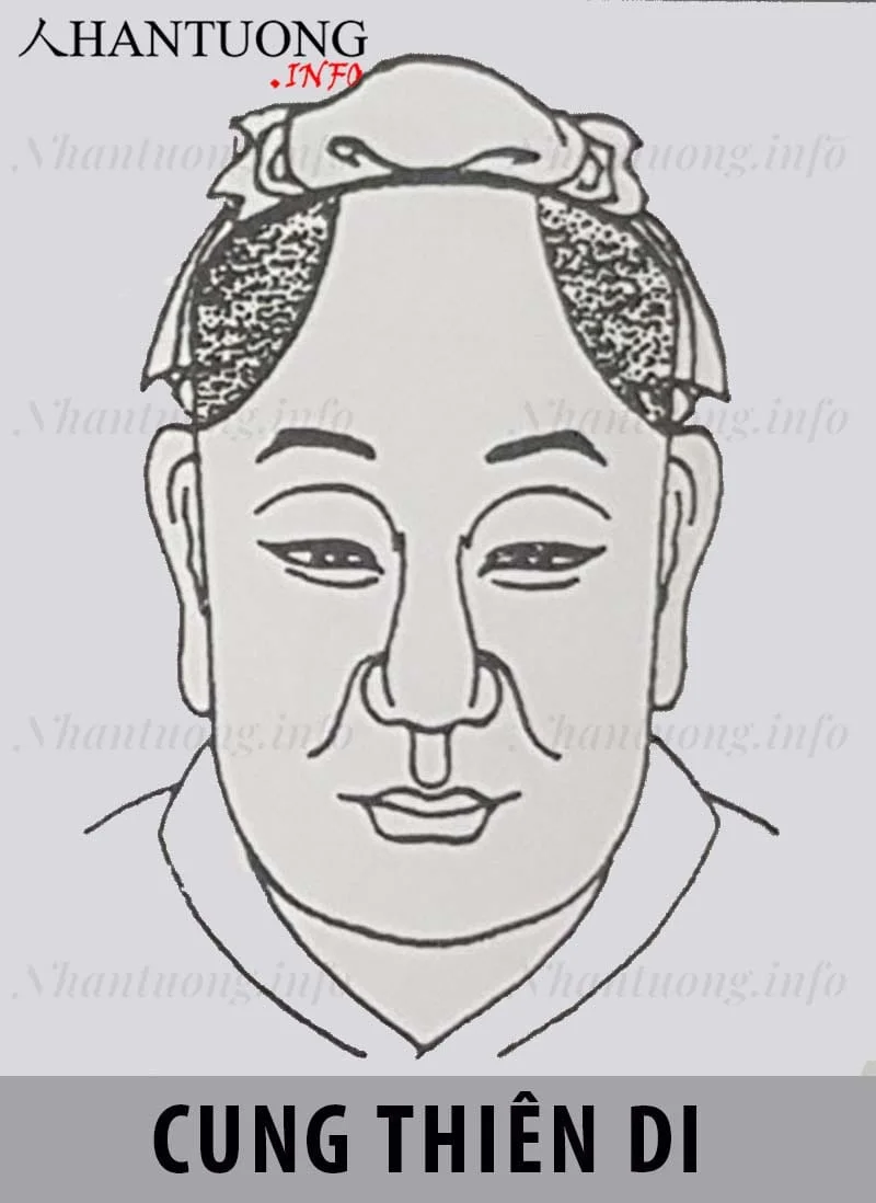 Vị trí cung Thiên di (Dịch mã) trên khuôn mặt theo nhân tướng học Vị trí cung Thiên di (Dịch mã) trên khuôn mặt theo nhân tướng học