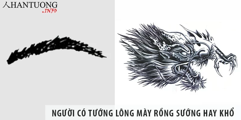 Đàn ông, phụ nữ tướng lông mày rồng sướng hay khổ?