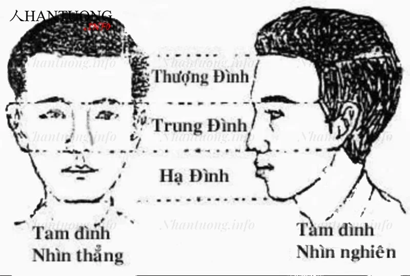 Cách xác định tam đình trên gương mặt Cách xác định tam đình trên gương mặt
