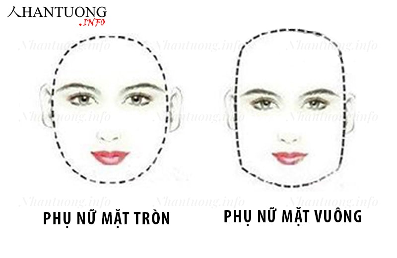 Đặc điểm của tướng phụ nữ mặt tròn, mặt vuông chữ nhật Đặc điểm của tướng phụ nữ mặt tròn, mặt vuông chữ nhật