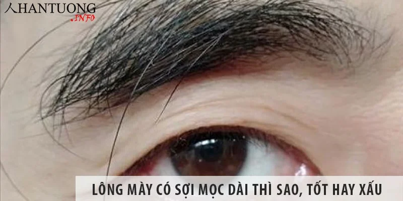 Lông mày có một sợi mọc dài thì sao, có nên nhổ bỏ không?