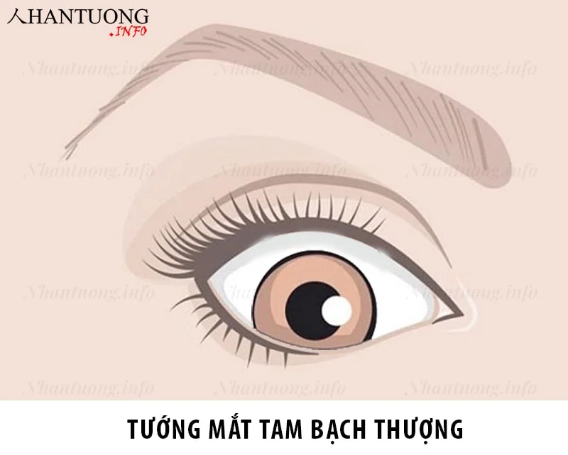 Tướng mắt tam bạch thượng Tướng mắt tam bạch thượng