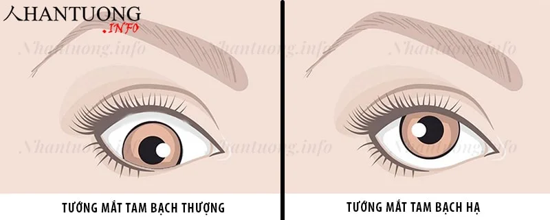 Cách nhận diện tướng mắt tam bạch