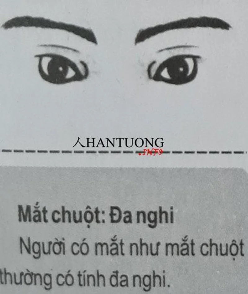 Tướng mắt chuột Tướng mắt chuột