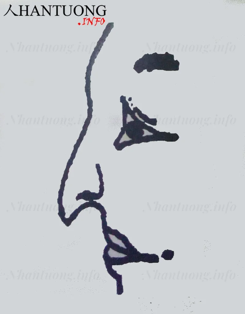 Đặc điểm và hình dáng của tướng mũi diều hâu, mũi chim ưng Đặc điểm và hình dáng của tướng mũi diều hâu, mũi chim ưng