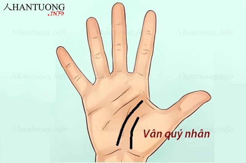 Đường chỉ tay quý nhân đầy may mắn Đường chỉ tay quý nhân đầy may mắn