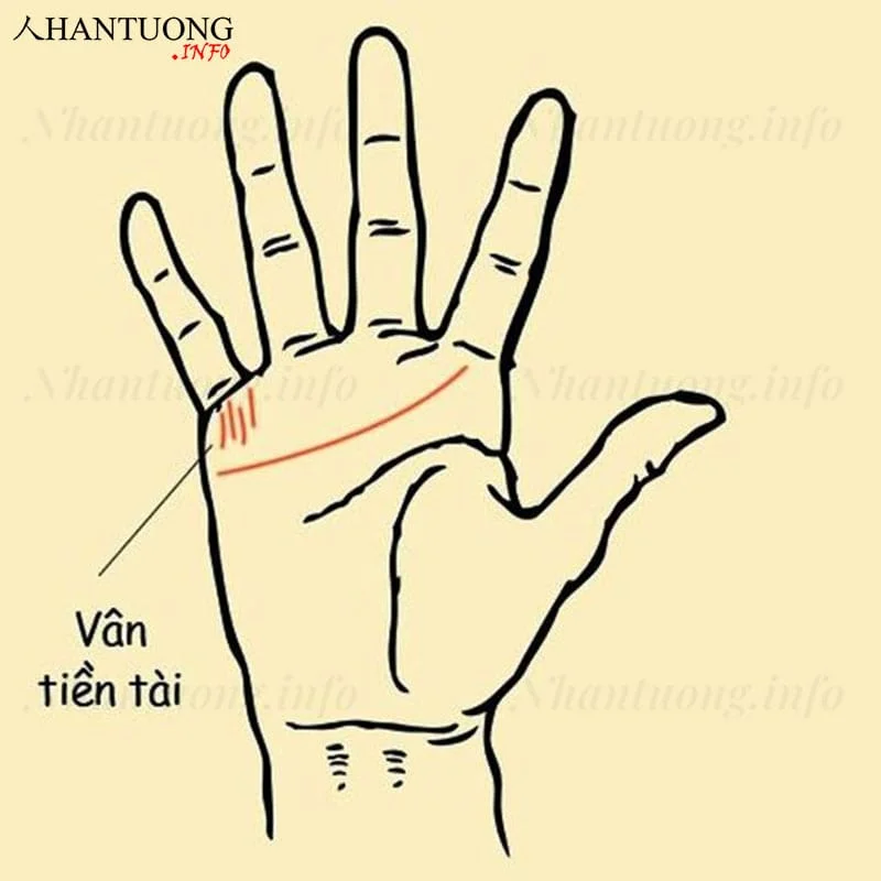 Đường vân tài vận Đường vân tài vận