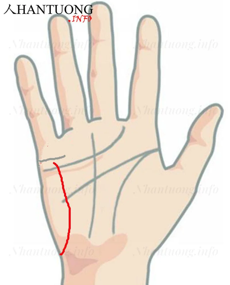 Vị trí đường Âm hưởng trên bàn tay Vị trí đường Âm hưởng trên bàn tay