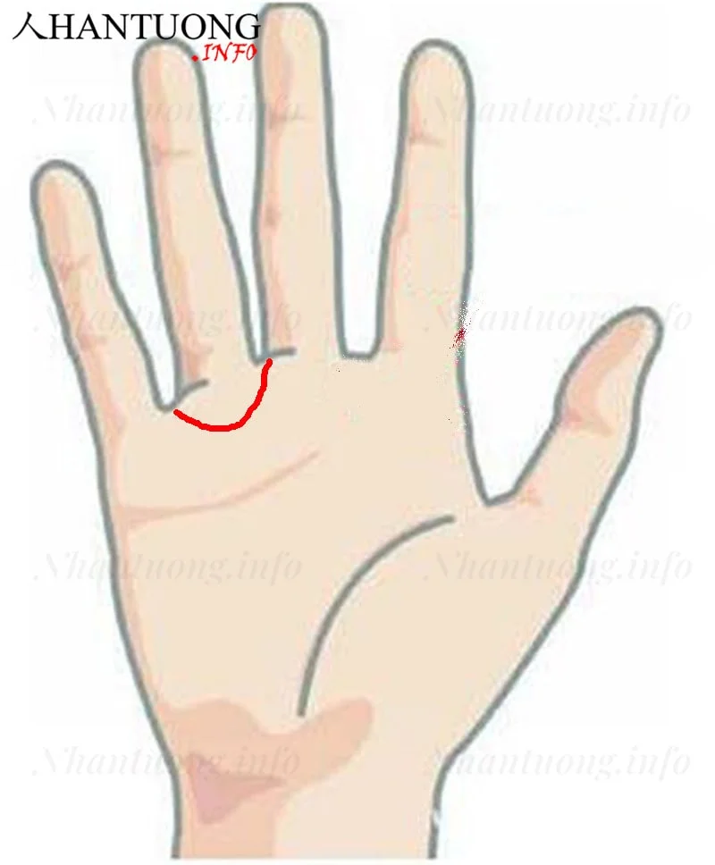 Vị trí vòng Thái dương trên bàn tay Vị trí vòng Thái dương trên bàn tay
